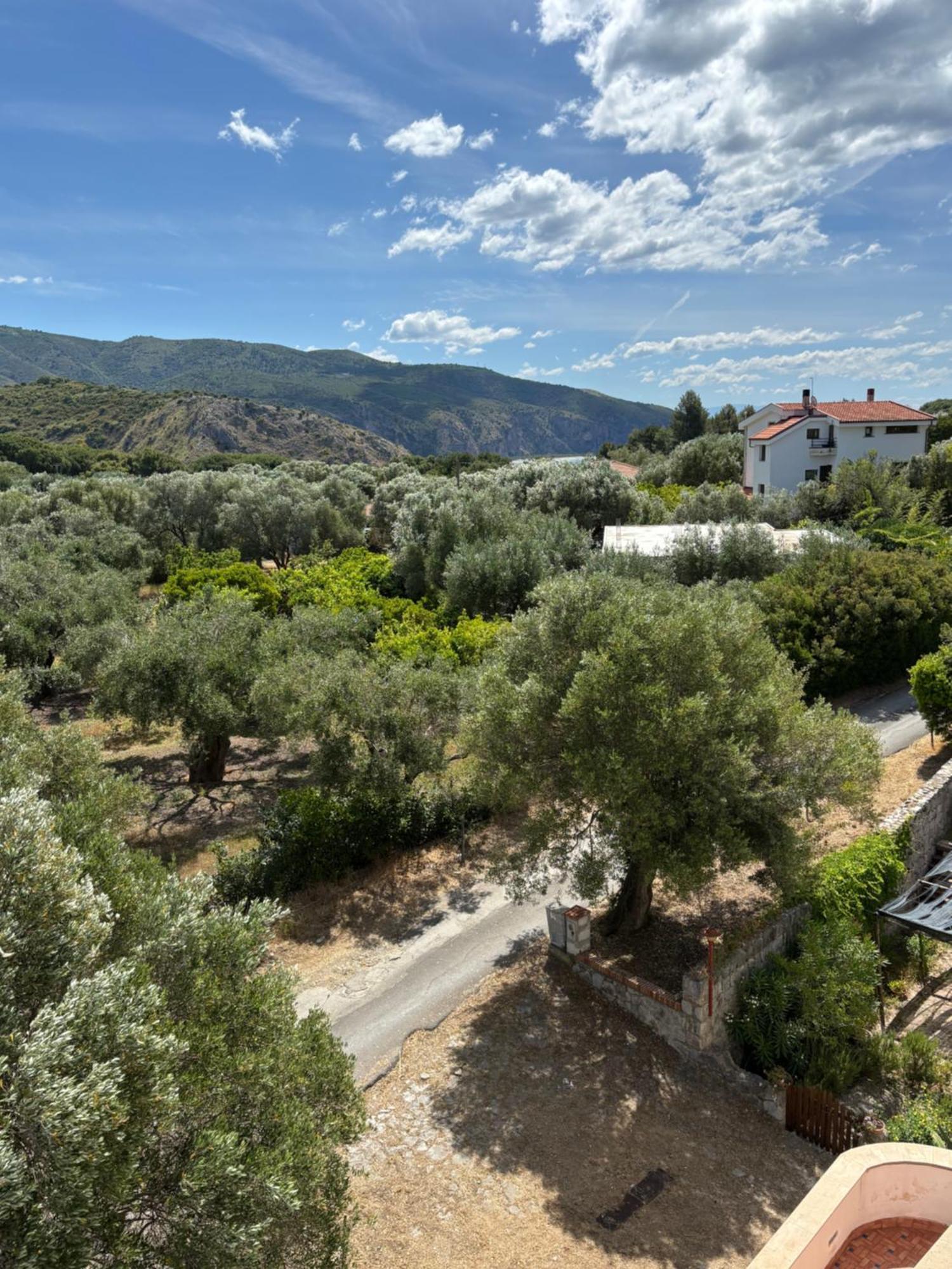 B&B La Marinella Palinuro Exterior foto